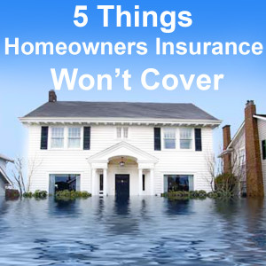 5 Things Homeowners Insurance Won’t Cover-local-records-office